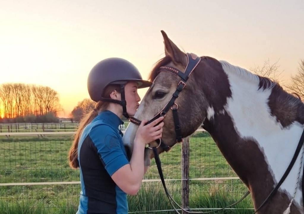 Prachtige valk bonte merrie D-pony sportpony kinderpony, Dieren en Toebehoren