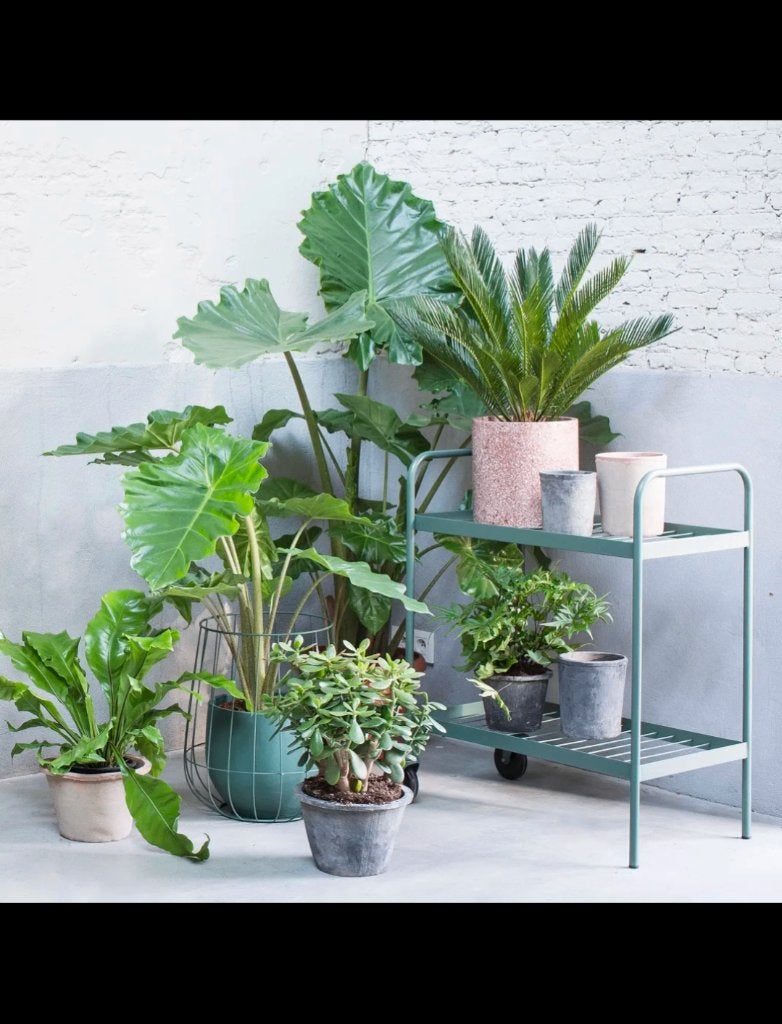 groene trolley voor planten / boeken / .. van het merk serax, Ophalen, Draaibaar, Trolley, Metaal