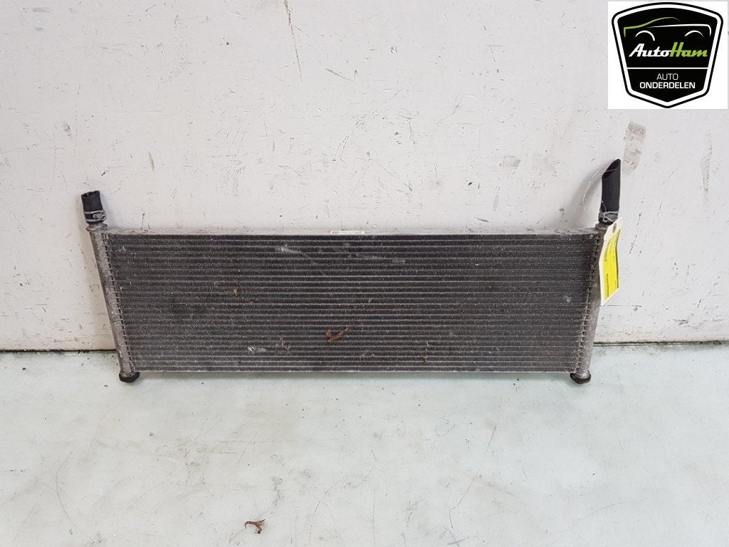 RADIATEUR EAU Tesla Model X (|104849800C|104849800B|), Dhr. J. Ham, Administratie@autoham.nl, Utilisé, Autres marques automobiles