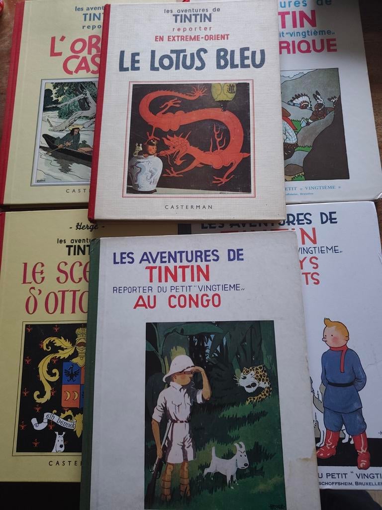 En lot ou unitaire bd de collection fac simile Tintin noir e