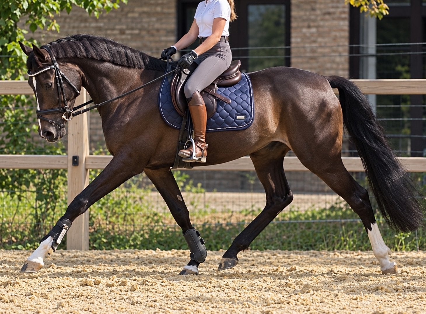 Kindvriendelijke aparte allround D pony, Animaux & Accessoires