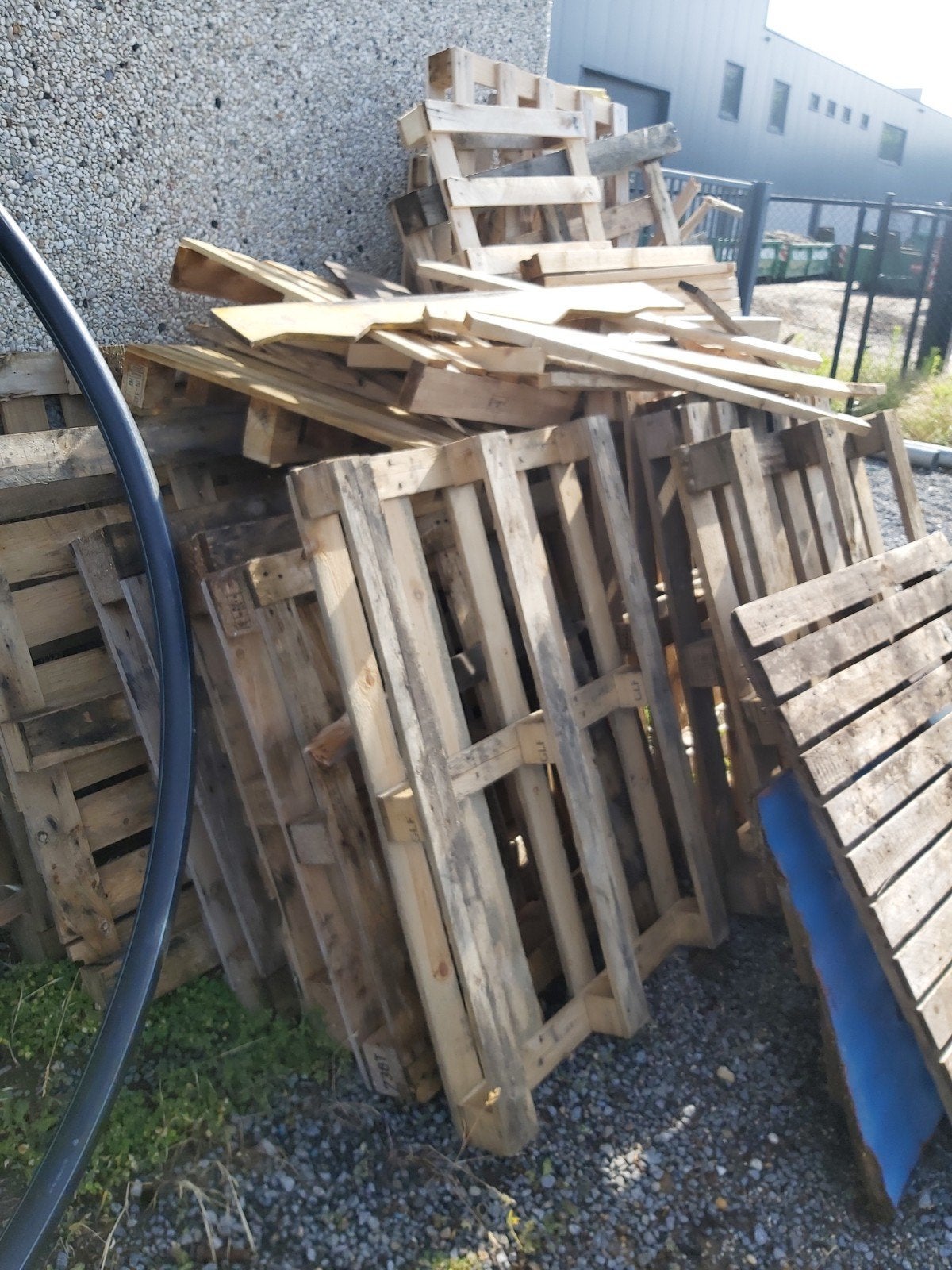 Gratis brandhout te Beverlo, Ophalen