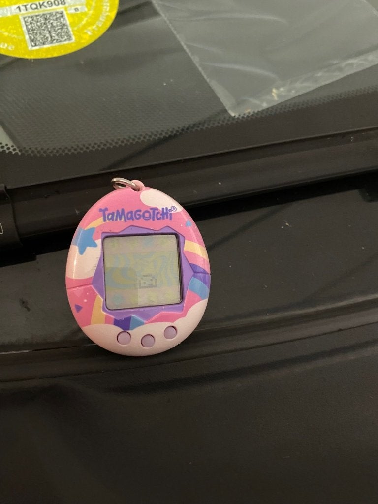 Tamagotchi, Enlèvement ou Envoi, Comme neuf, Garçon ou Fille