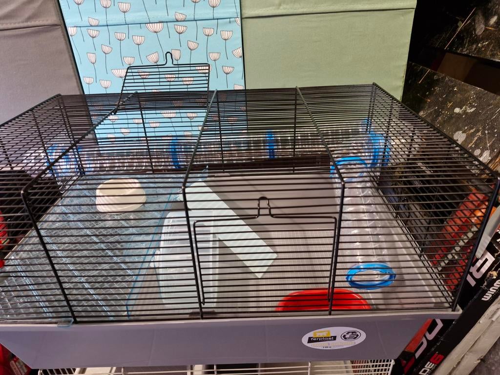 Hamsterkooi, Enlèvement