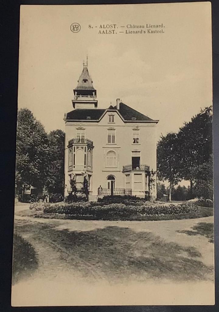 (013) Aalst (Alost) Lienard ‘s Kasteel., Ophalen of Verzenden, Ongelopen