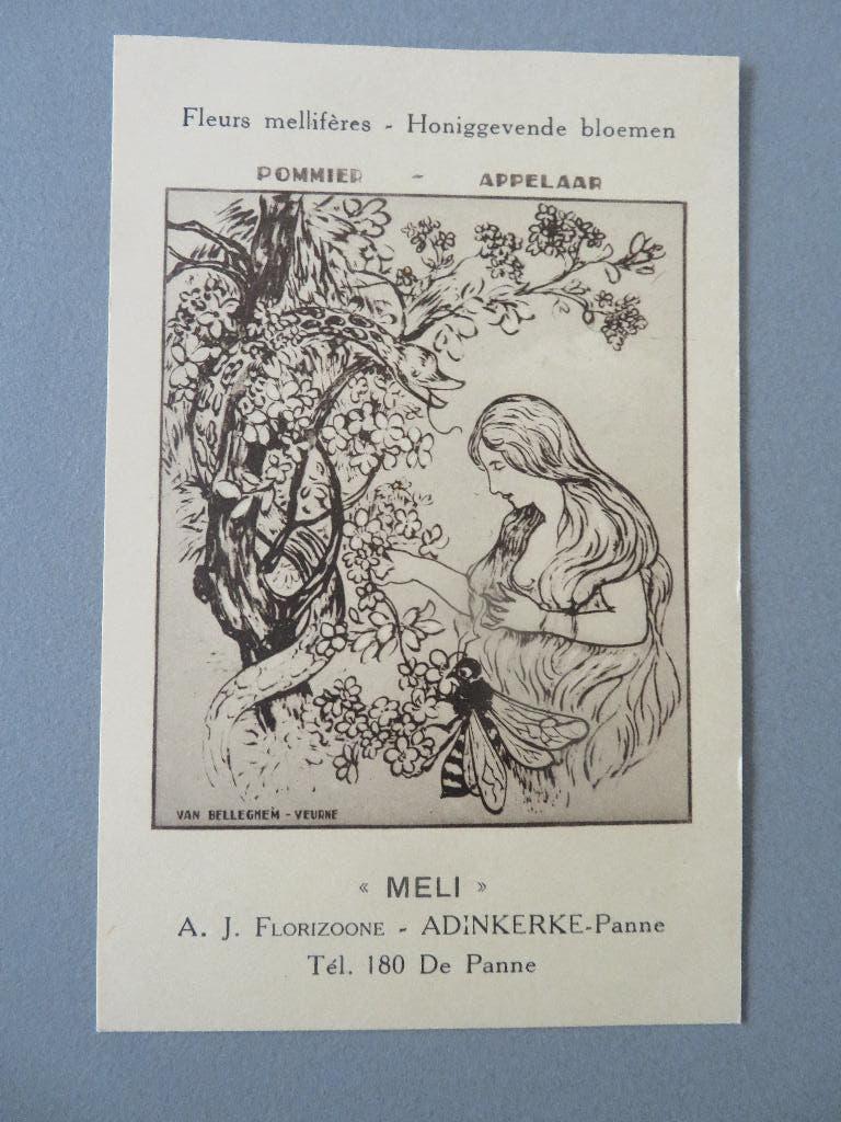 oude PK Honinggevende bloem Appelaar MELI Adinkerke De Panne, Ophalen of Verzenden, 1920 tot 1940, Ongelopen, Natuur