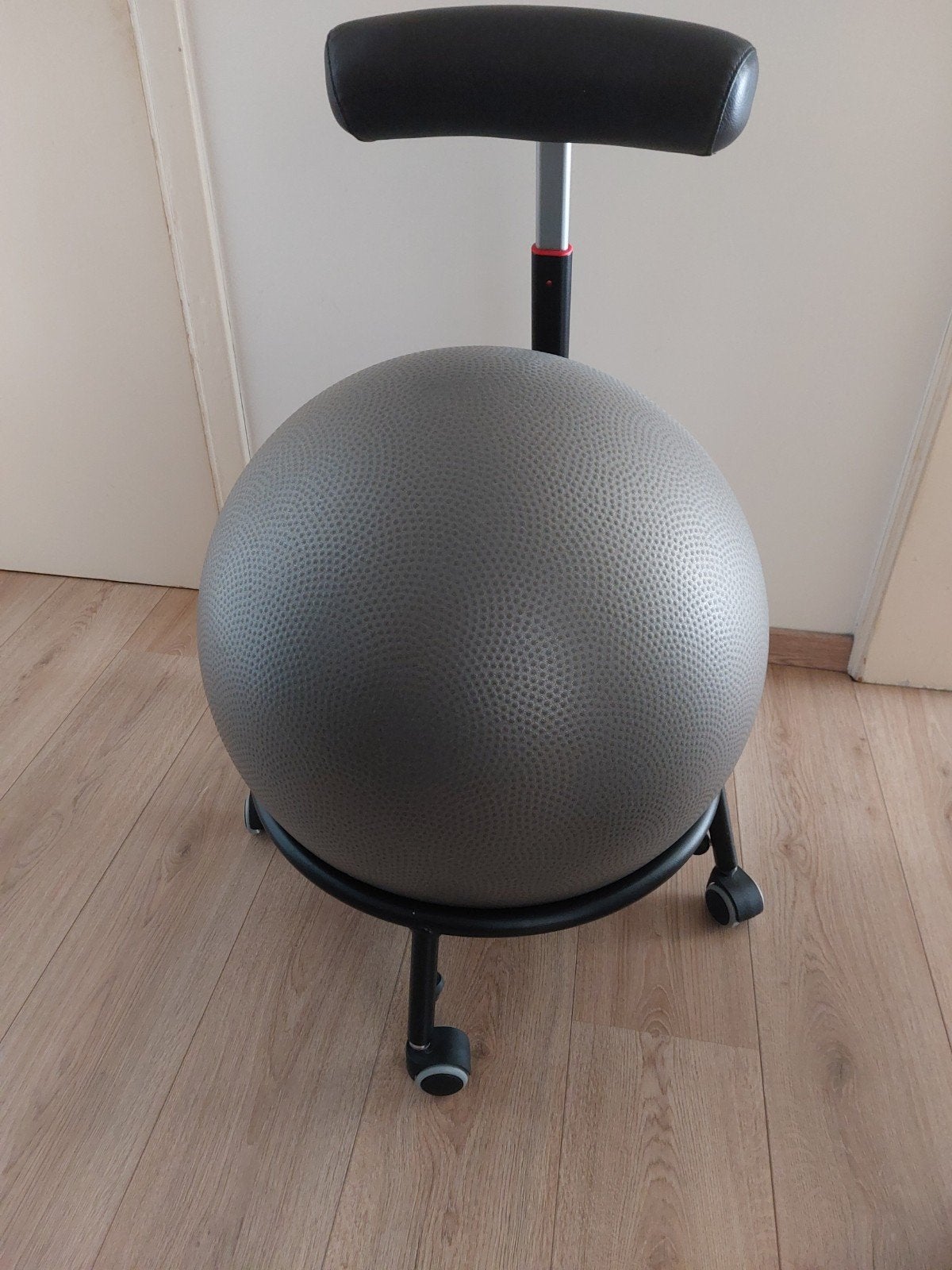 Chaise ergonomique Pallone, Enlèvement, Ergonomique, Gris