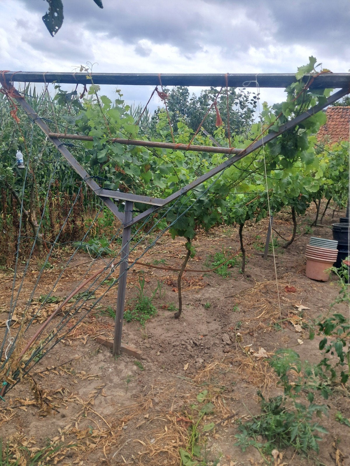 jardin, Enlèvement