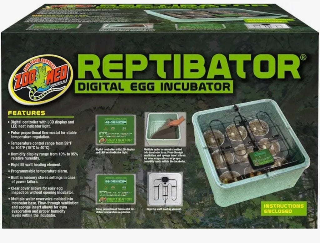 Couveuse reptile, Animaux & Accessoires, Lézard