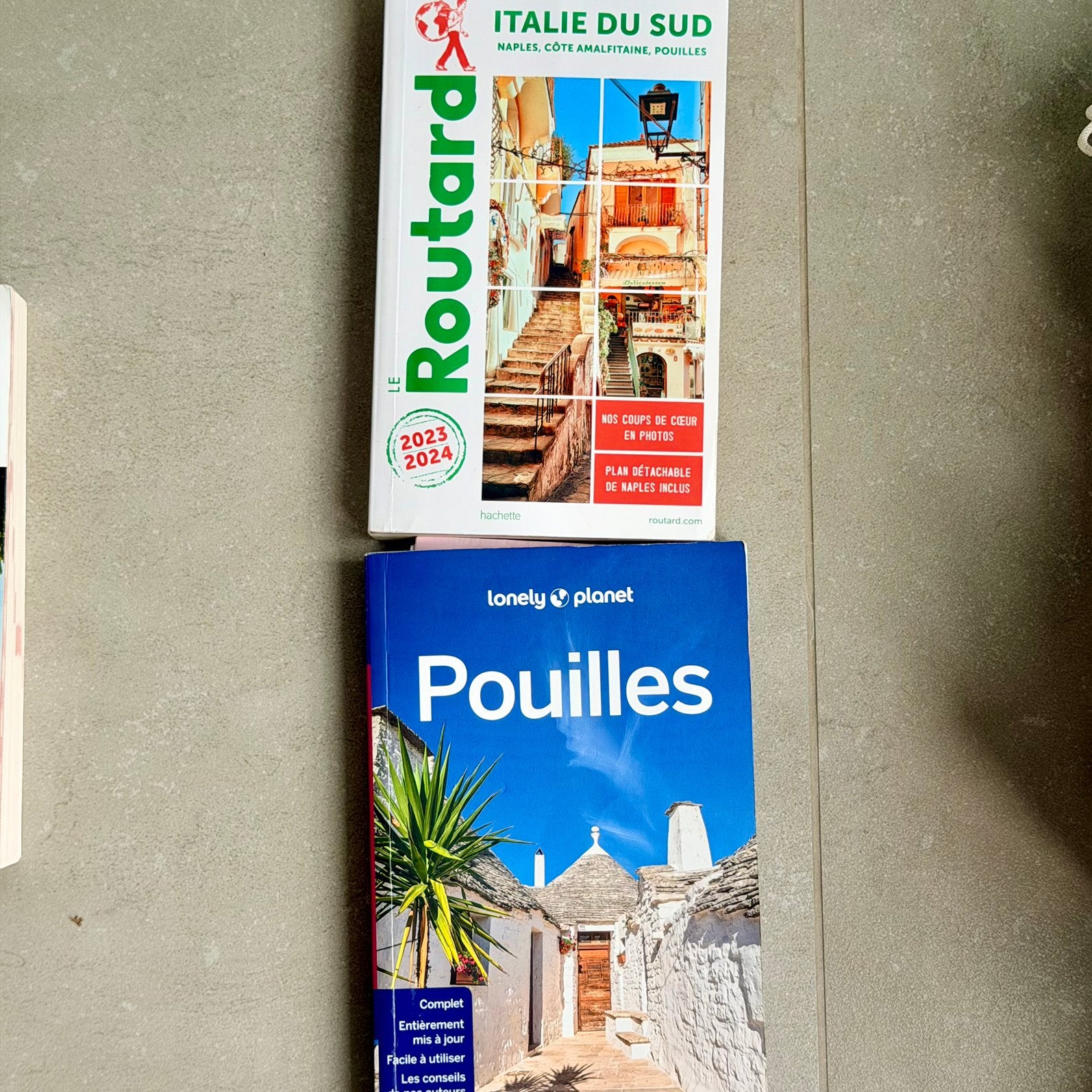 Lot 2 guides Pouilles Italie du Sud Routard Lonely Planet, Livres, Guide ou Livre de voyage, Lonely Planet, Comme neuf, Enlèvement