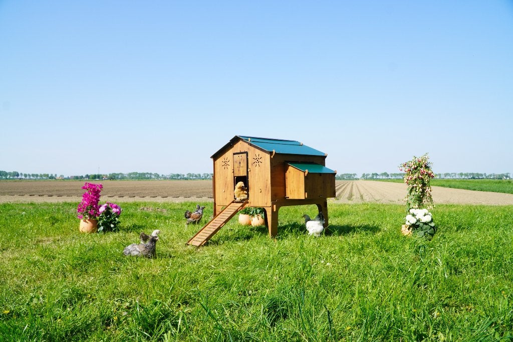 Trespa Kippenhok | Duplex 4XL | Cucciolotta, Ophalen of Verzenden, Nieuw, Kippenhok of Kippenren