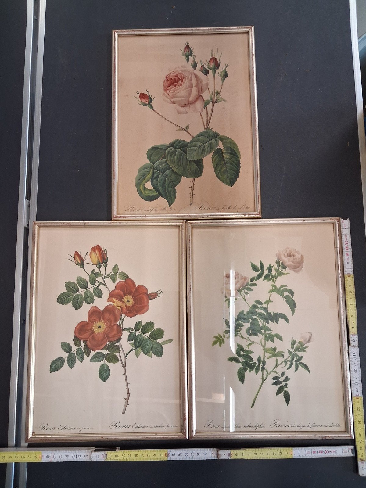 3 rozen litho's imprimerie de  rémond , door Rédoute, Ophalen of Verzenden