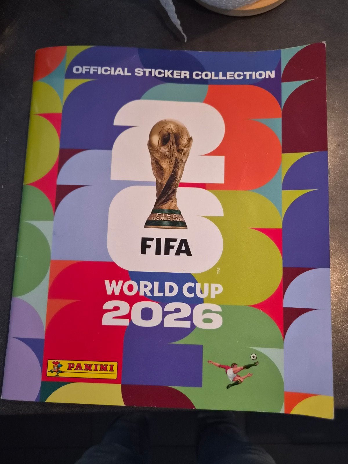 Panini Album volledig, Ophalen of Verzenden, Gebruikt, Meerdere stickers
