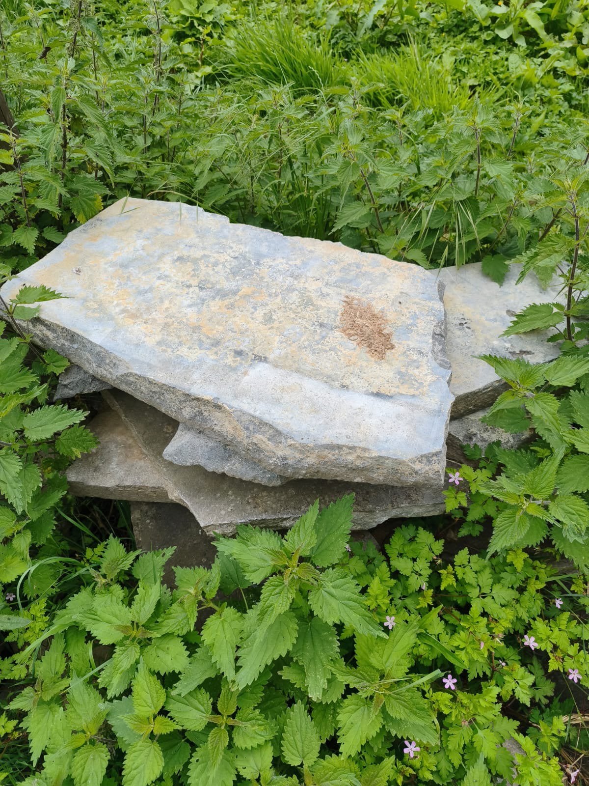 Dalles en pierre bleue, Jardin & Terrasse, Enlèvement, Comme neuf