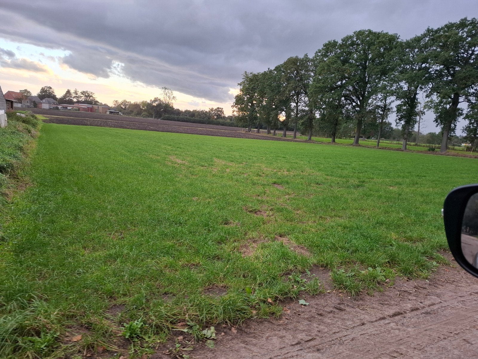 weide te huur  in oud-turnhout omheining met padok en 3stal