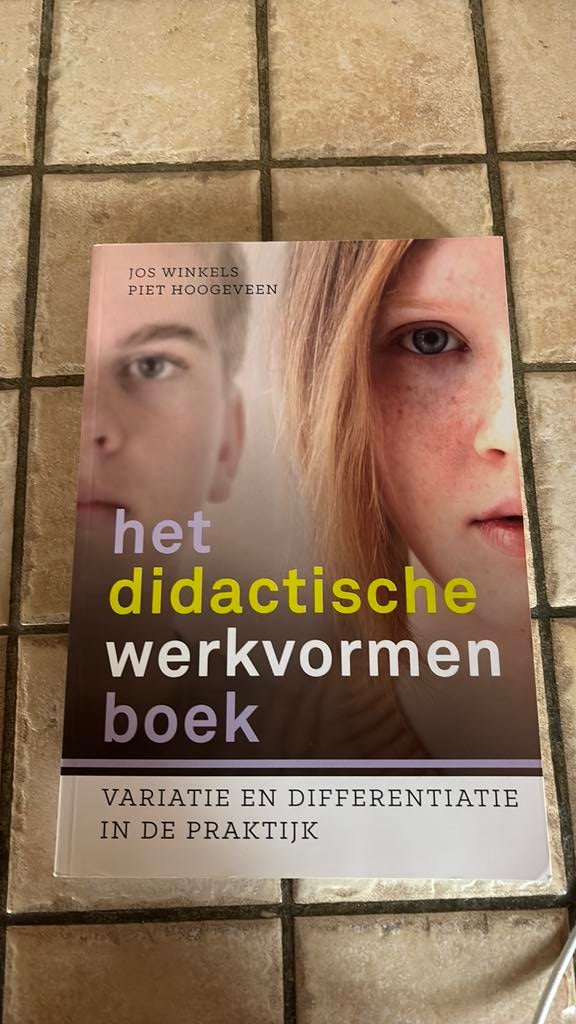 Het didactische werkvormen boek, Boeken, Ophalen of Verzenden, Gelezen
