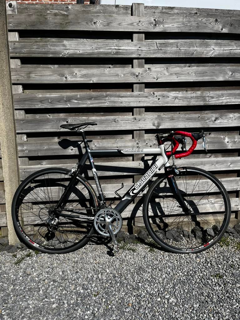 Koersfiets scanini campagnolo 10 speed, Fietsen en Brommers, 28 inch, Gebruikt, Carbon, Velgrem