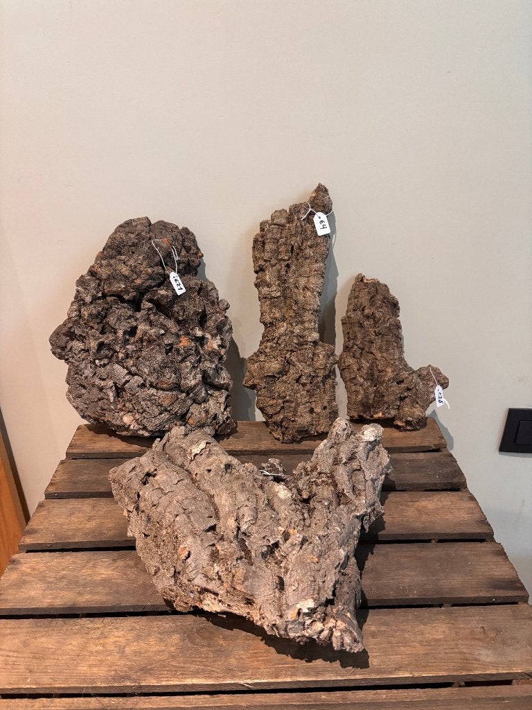Kurk voor terrarium , takken, schors etc..., Ophalen of Verzenden, Nieuw, Tak, Plant, Rots of Steen