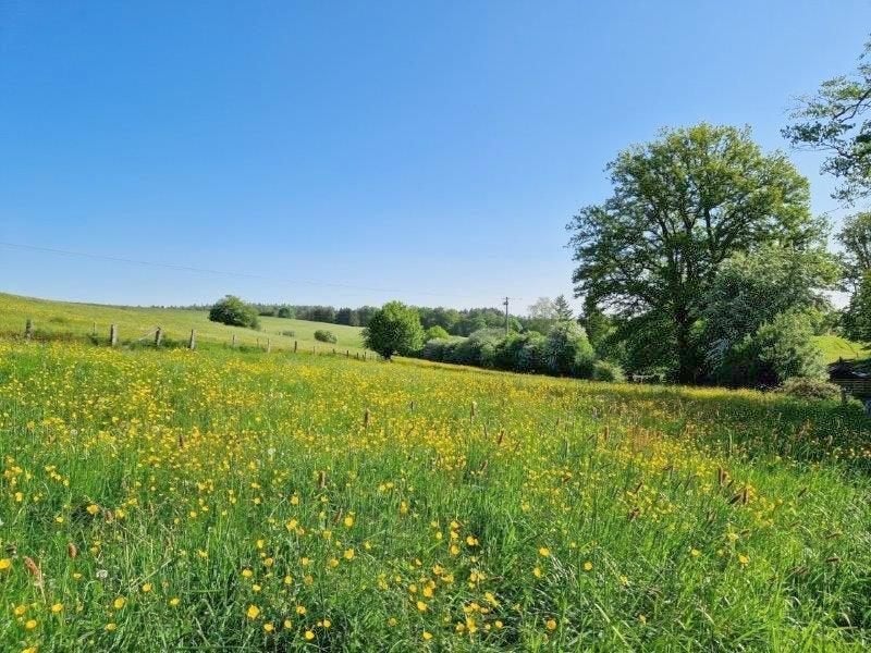 Vallée de la Semois : Terrain de 1Ha 44a 66ca., Immo, Terrains & Terrains à bâtir, Les Hayons - Bouillon, 1500 m² ou plus