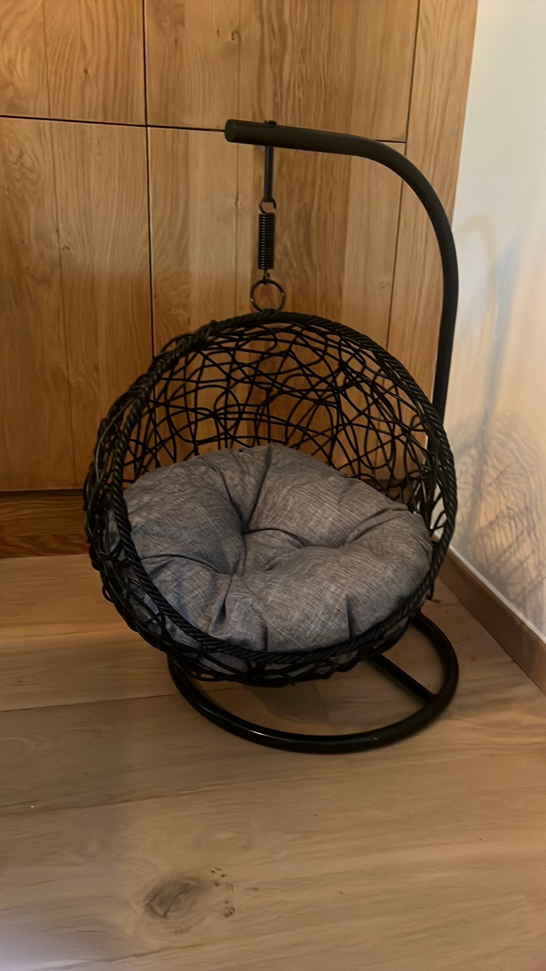 Nouveau lit pour chat, Enlèvement