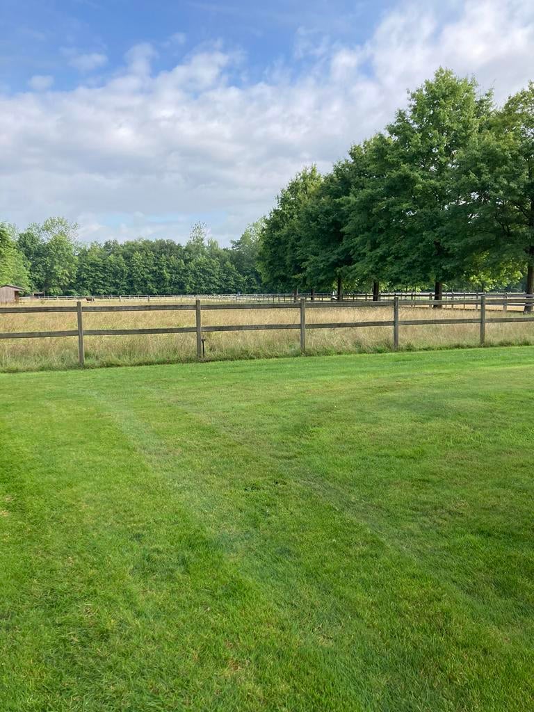 Tuinonderhoud/ tuinaanleg/ dakreinigen/ gevelreinigen, Tuin en Terras, Ophalen