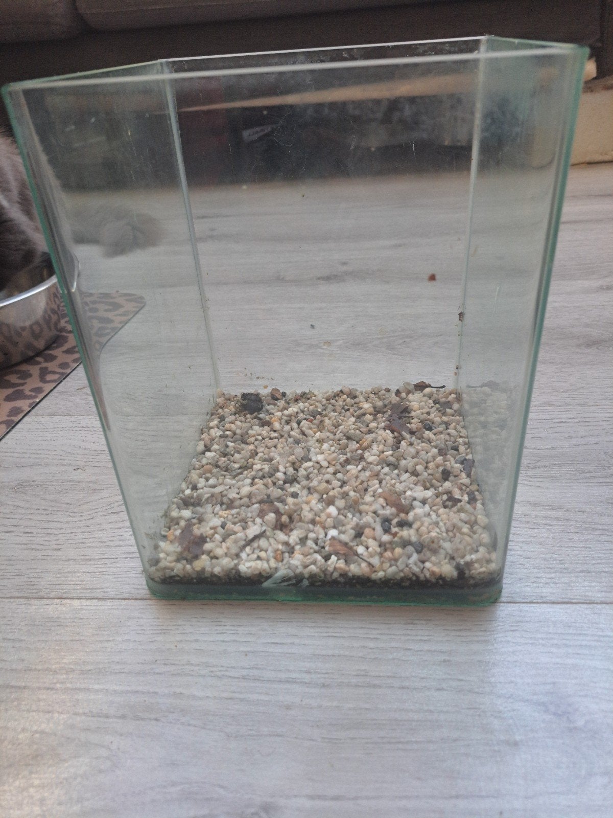 Klein Aquarium, Dieren en Toebehoren, Ophalen