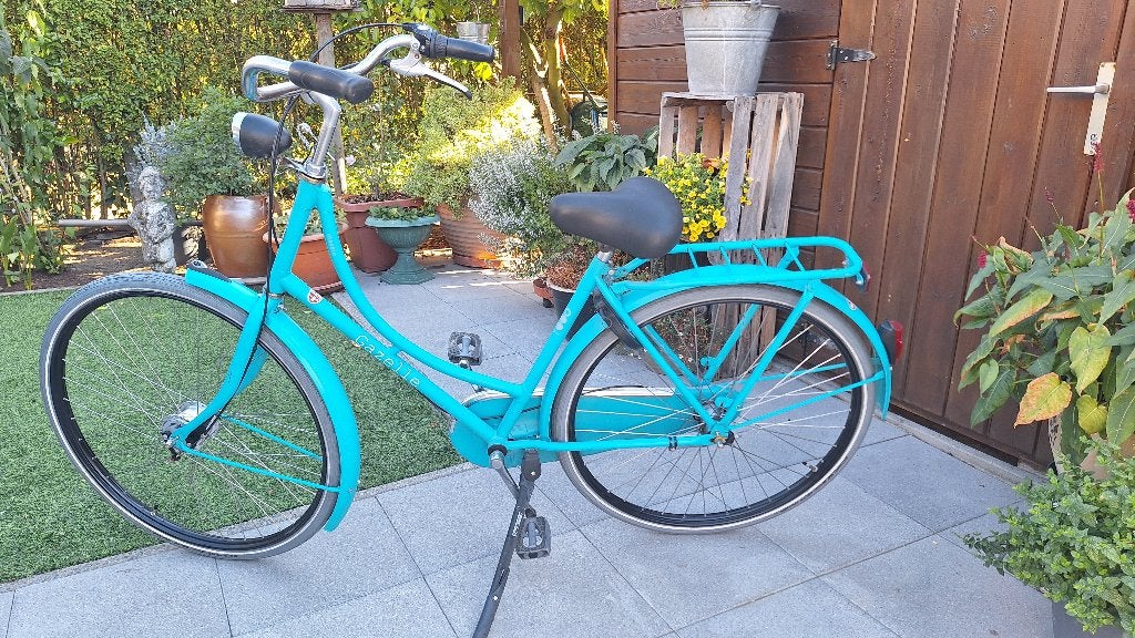 Damesfiets Gazelle, Ophalen