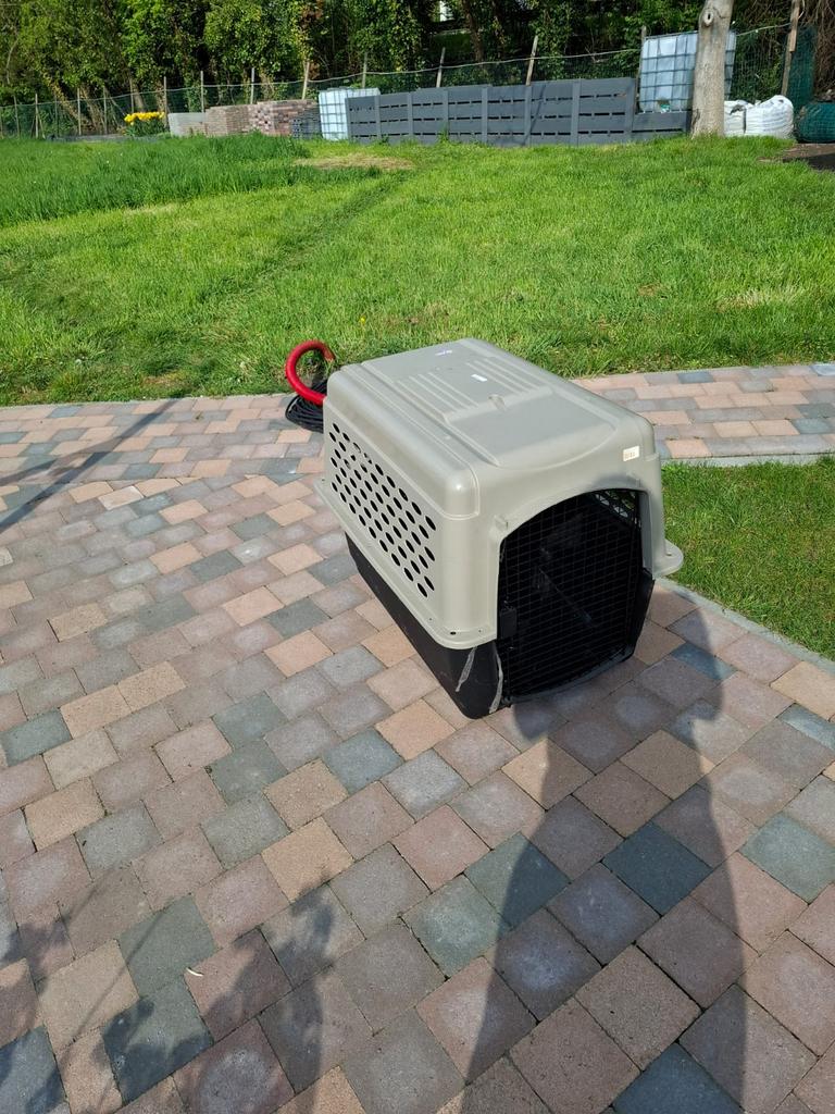 Hond air kennel, Ophalen, Zo goed als nieuw