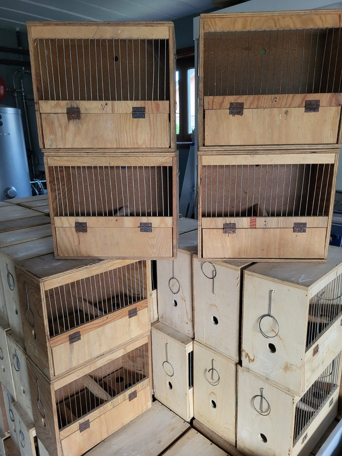 zangkooi, Enlèvement, Utilisé, Bois, Autres types