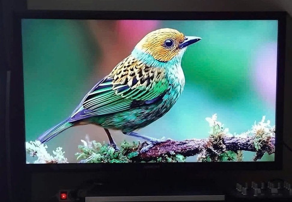 Tv Samsung 40" 102cm, TV, Hi-fi & Vidéo, Enlèvement ou Envoi, 50 Hz, Utilisé, HD Ready (720p)