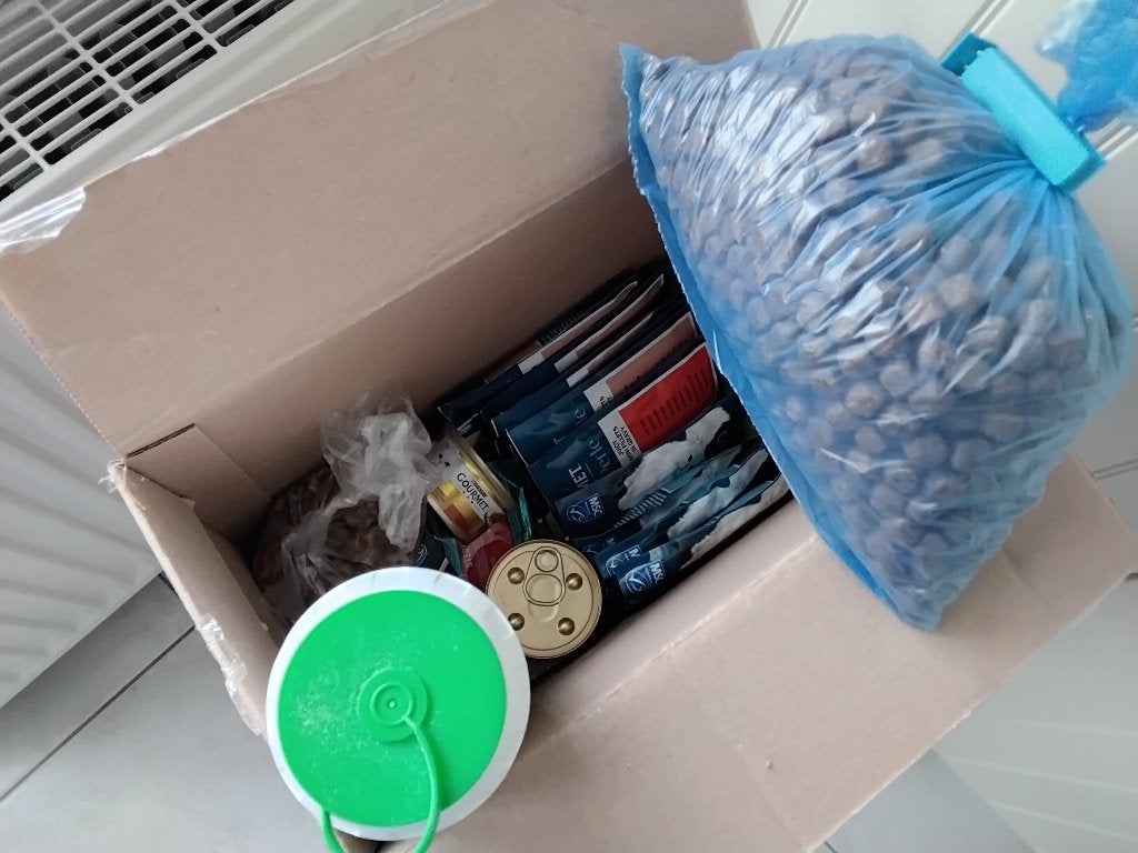 Dieren, Ophalen, Kat