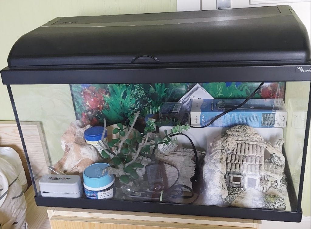 Warm water aquarium, Dieren en Toebehoren, Ophalen, Inclusief deksel, Gebruikt, Decoratie
