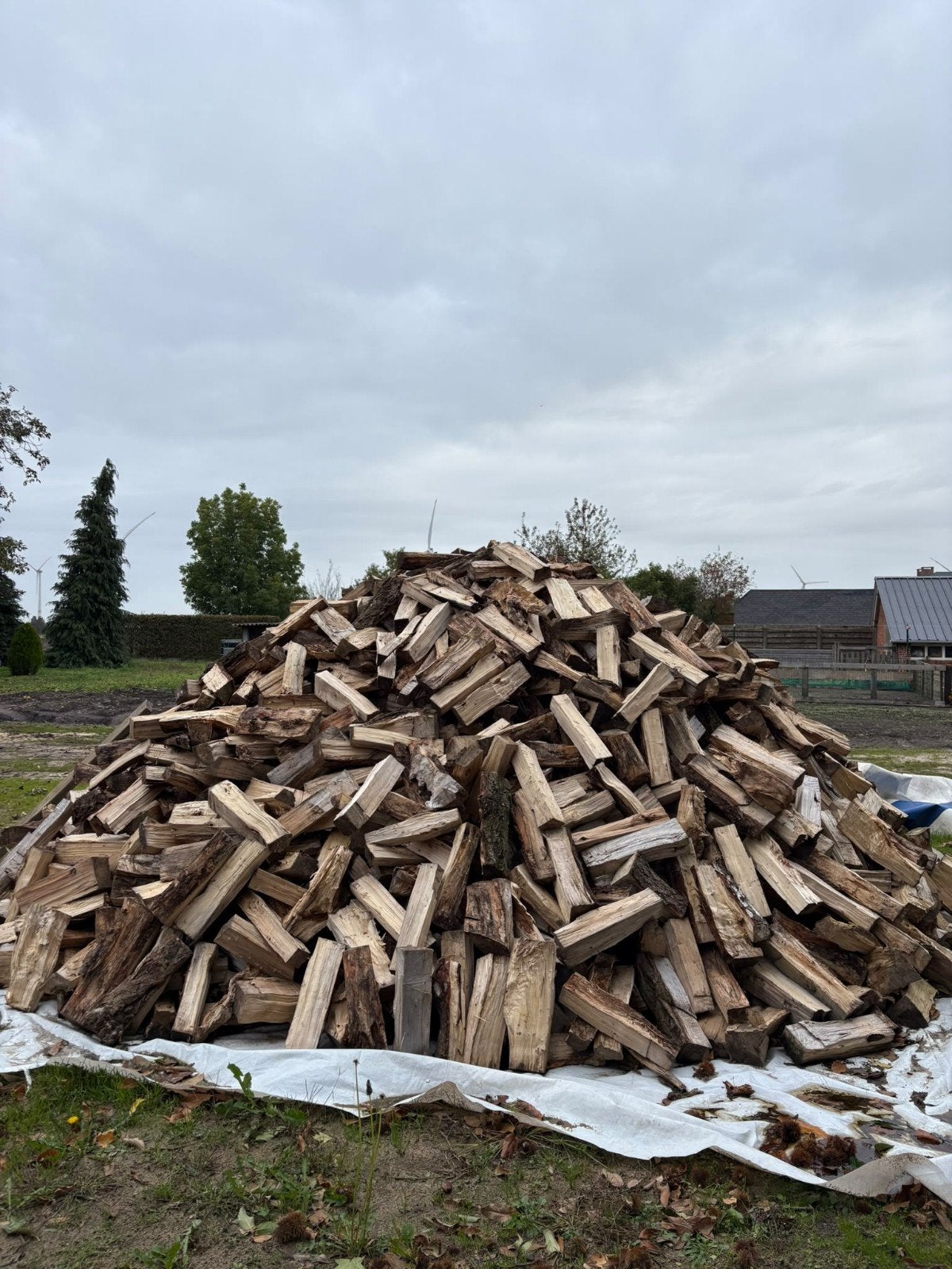 Stookhout, 6 m³ ou plus, Enlèvement, Autres essences de bois, Bûches