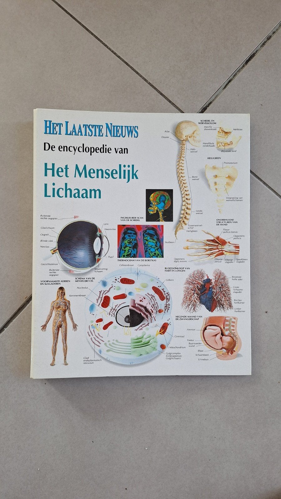 Map het menselijk lichaam, Ophalen of Verzenden, Gelezen, Overige wetenschappen