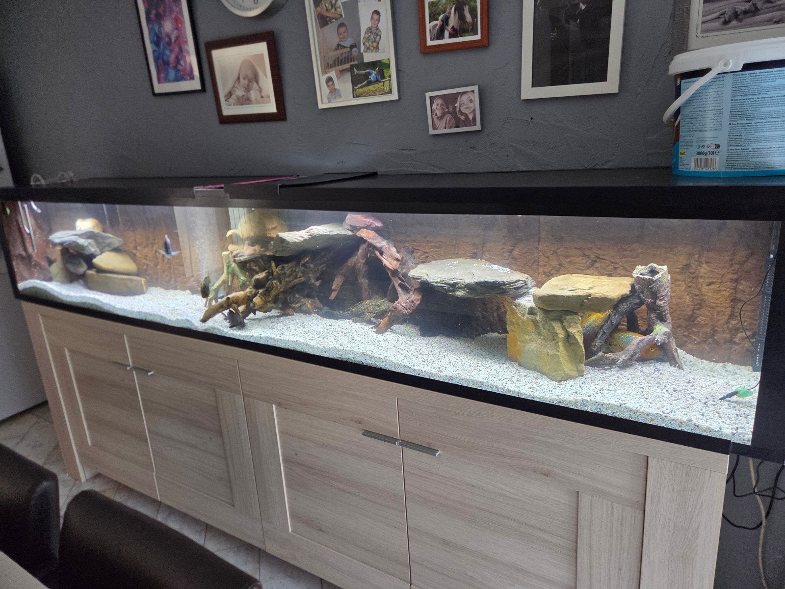 1 aquarium 2m goede staat .1 aquarium 2m70, Enlèvement ou Envoi, Filter