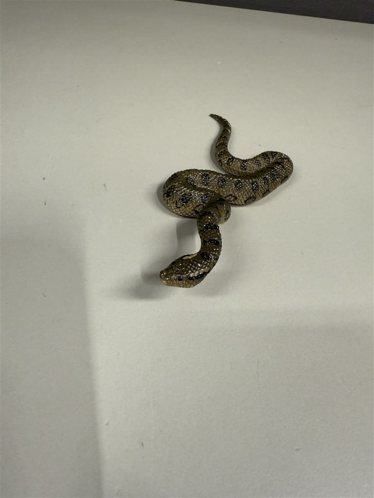 Schleich slang figuur - Wildlife 2016 D-73527, Ophalen of Verzenden, Zo goed als nieuw