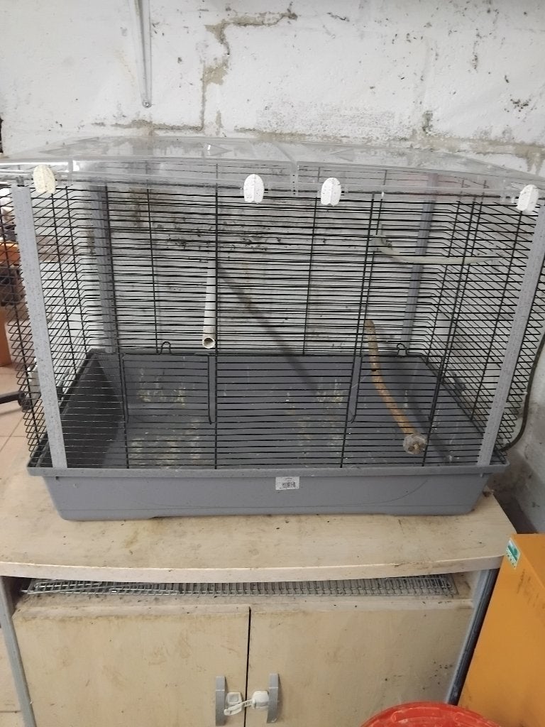 Cage moyenne a vendre, Enlèvement, Utilisé, Métal, Cage à oiseaux