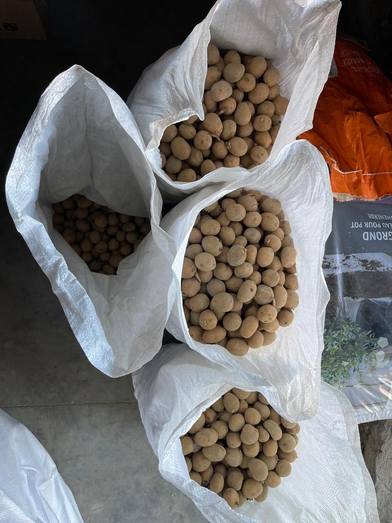 Fontane pootgoed 28/35, Ophalen