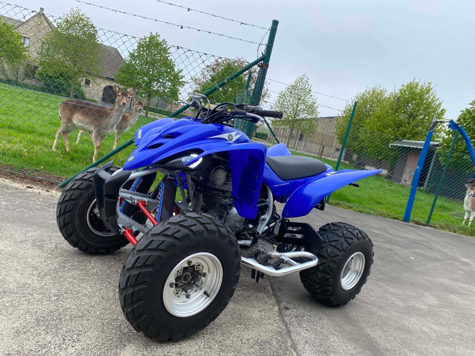 Yamaha raptor 350