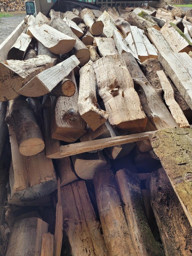 Bois de chauffage, Tuin en Terras, Brandhout, Ophalen, Blokken
