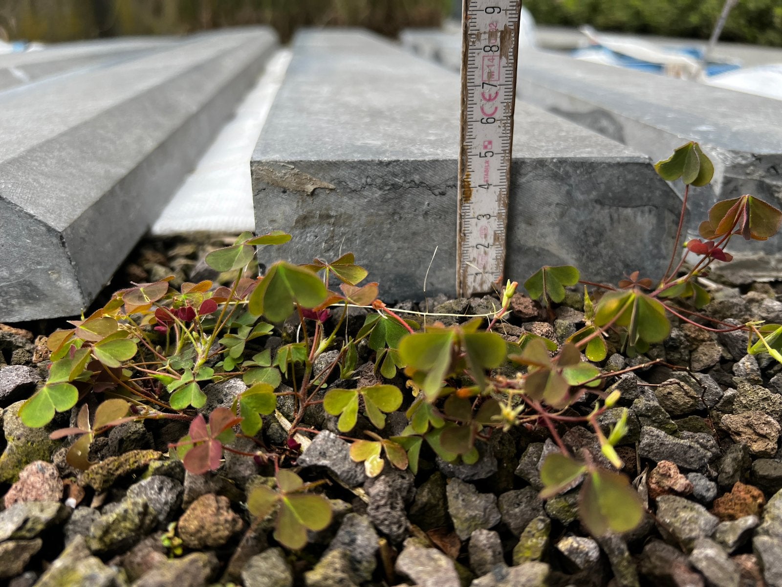 Belgische arduinen dorpels gebruikt, Moins de 25 cm, Moins de 25 cm, Utilisé, Autres types