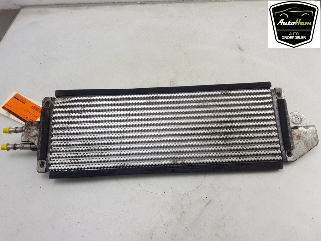 BRANDSTOFKOELER Jaguar F-Pace (01-2015/12-2025), Auto-onderdelen, Gebruikt, Jaguar
