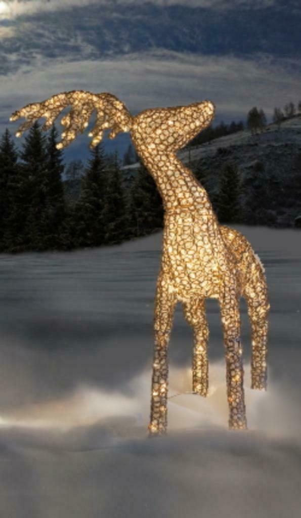 Exclusief Groot staand Led-Rendier In Glasoptiek. 400 Led's, Diversen, Kerst, Ophalen of Verzenden, Nieuw