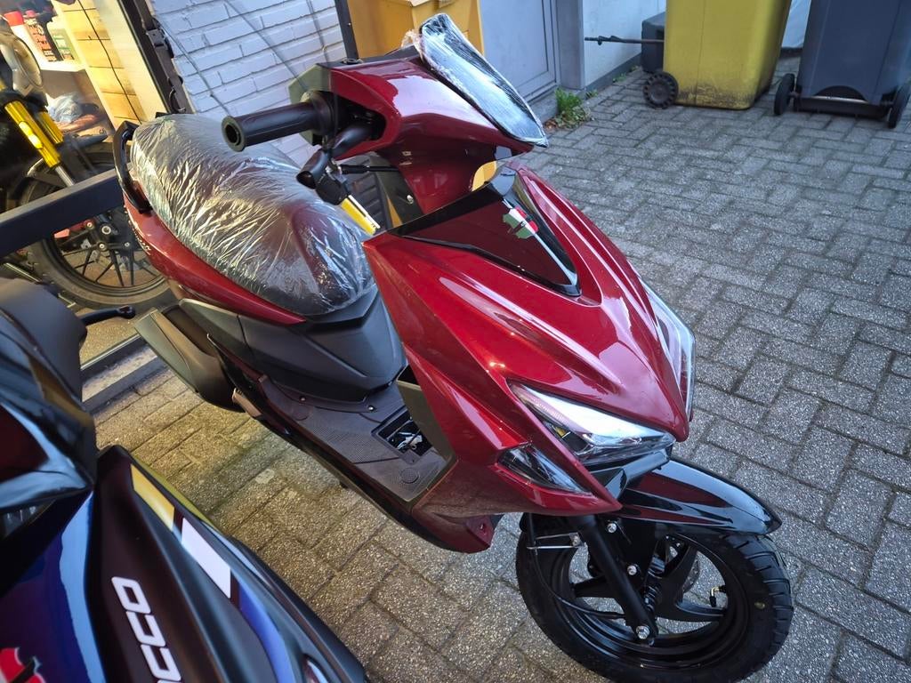 Showroom stock voertuigen uitverkoop wegens verbouwing, Ophalen of Verzenden, Zo goed als nieuw