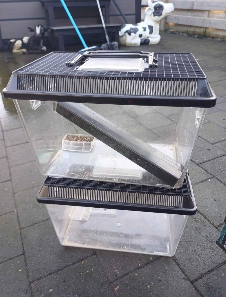Terrarium, Dieren en Toebehoren, Ophalen, Gebruikt