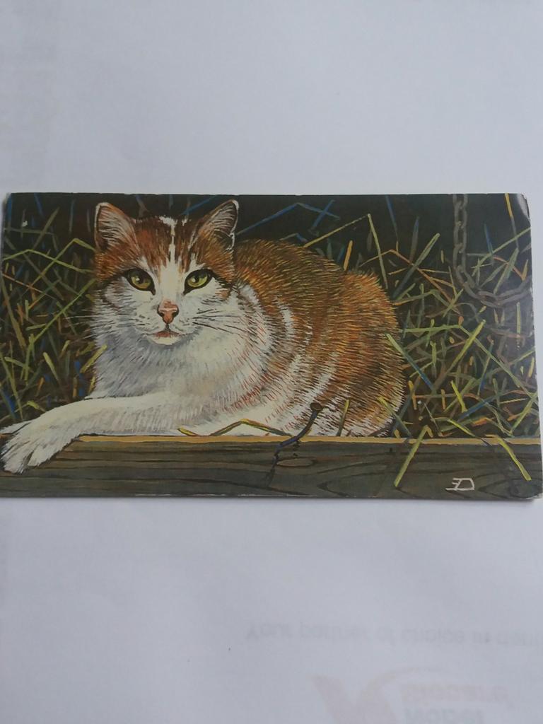 Timbres de collection, Collections, Enlèvement ou Envoi, Comme neuf