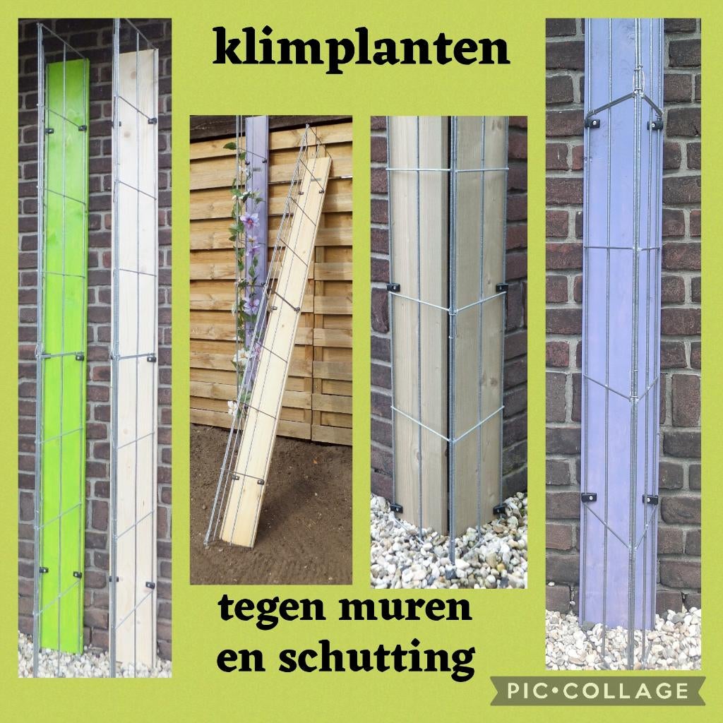 KLIMPLANTEN DE VERTICALE TUIN TEGEN SCHUTTINGEN, Tuin en Terras, 6 meter of meer, Nieuw, Ophalen of Verzenden, 2 meter of meer