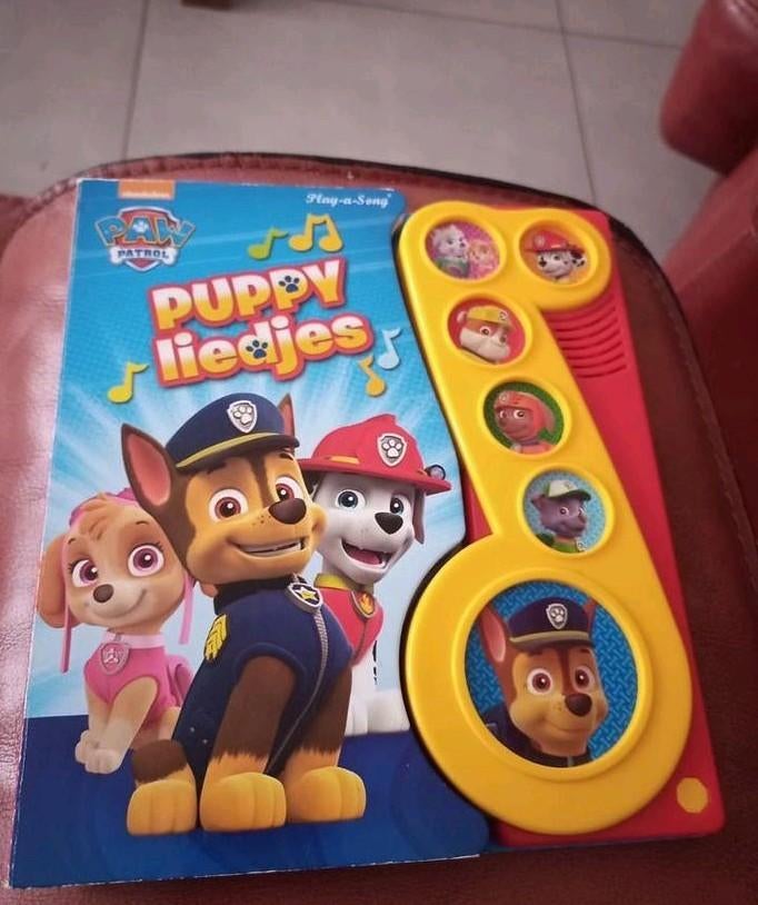 Paw patrol Puppy liedjes boek, Ophalen of Verzenden, Gebruikt, Taal en Lezen, Met geluid