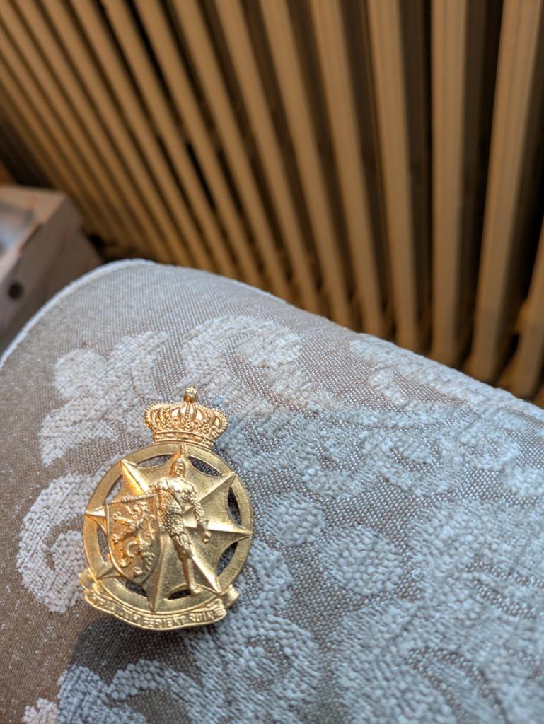 Civiele bescherming, Ophalen of Verzenden, Landmacht, Embleem of Badge