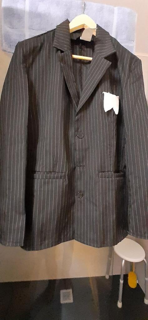 Verkleed kostuum jas en broek met strepen, Ophalen of Verzenden, Zo goed als nieuw, Maat 48/50 (M), Kleding